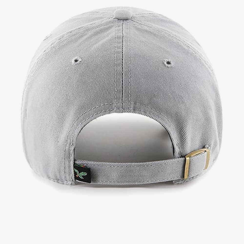 Philadelphia Eagles NFL Clean Up, Light Grey